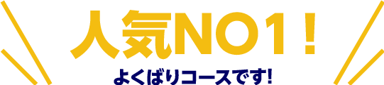 よくばりコースです!